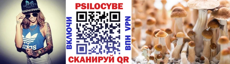 Галлюциногенные грибы прущие грибы Карпинск
